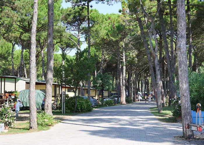 キャンプ場 Il Tridente Village