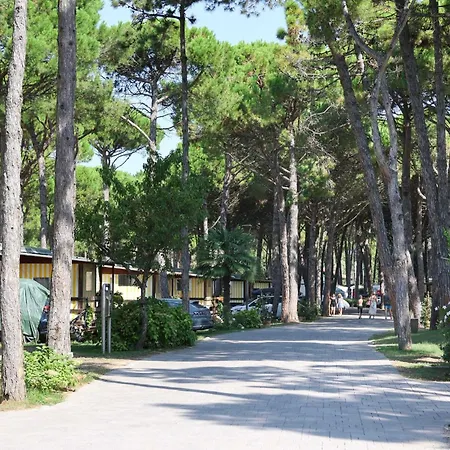 キャンプ場 Il Tridente Village