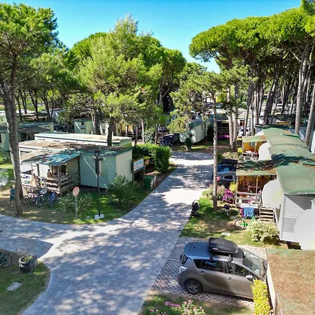 Il Tridente Village 营地 比比翁